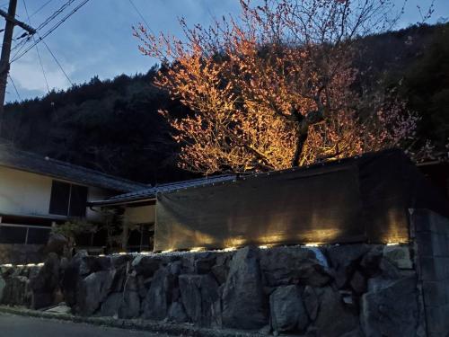 冬天的Natural open-air hot spring Chizu - Vacation STAY 16412v