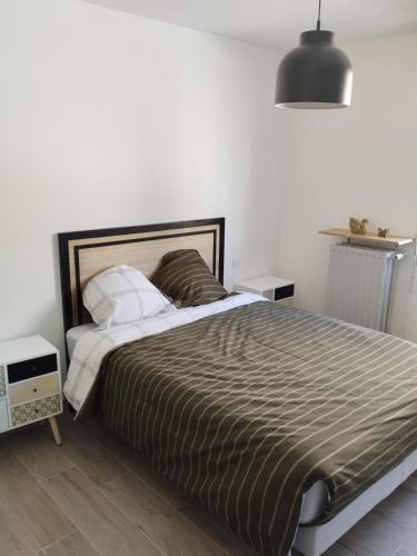 卡瓦永appartement 4 couchages renovés entièrement的一间卧室配有一张棕色和白色的被子的床