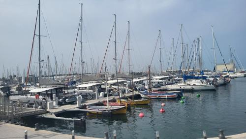 鲁西隆地区卡内Adorable petit appartement avec magnifique vue sur le port de Canet的一群船停靠在码头