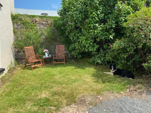 埃克塞特The Cottage的一只猫躺在草地上,旁边放着两把椅子和一张桌子