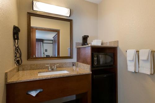 奥兰多环球影城罗森酒店的一间带水槽、镜子和微波炉的浴室