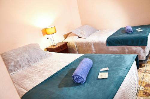 科皮亚波Hotel Pulmahue的酒店客房,配有两张带毛巾的床