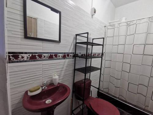 Santa RosaCómodo y bonito departamento的一间带红色水槽和镜子的浴室