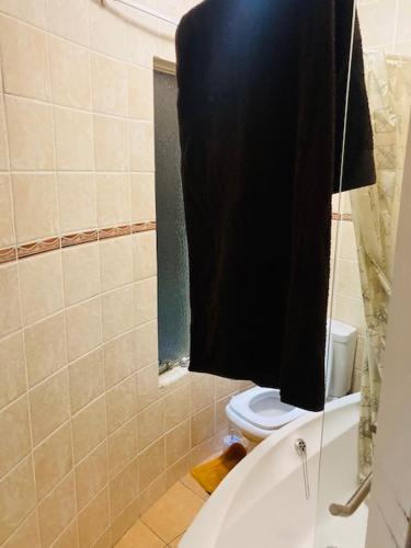 伊登维尔Eagle Crest Executive Lodge的浴室设有卫生间和黑色淋浴帘
