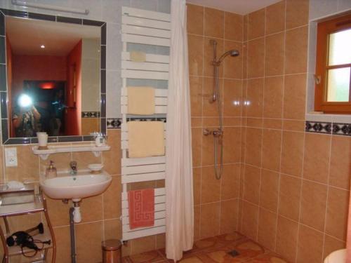 FuteauGuestroom Futeau, 1 pièce, 2 personnes - FR-1-585-106的带淋浴、盥洗盆和镜子的浴室
