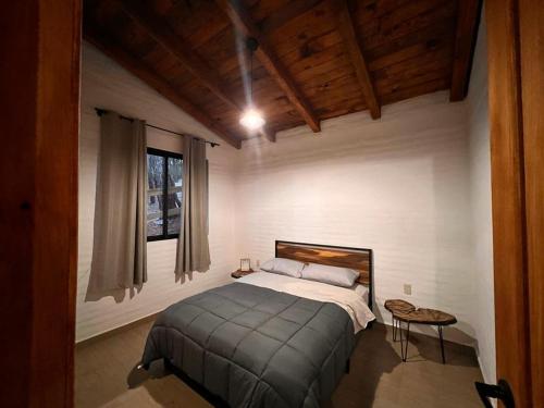 马萨米特拉Cabaña El Encanto的一间带床的卧室,位于带窗户的房间内