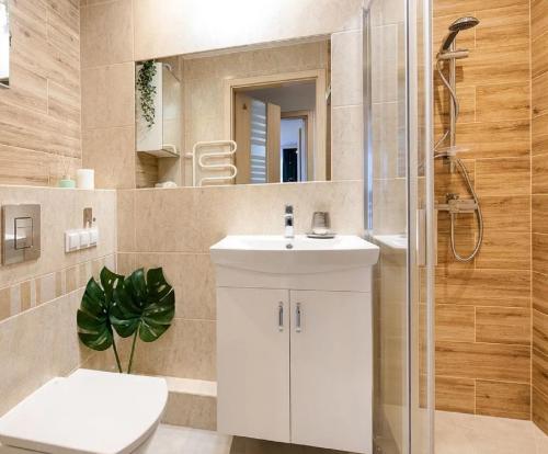 索波特Sun and Sea Apartment Sopot的浴室配有卫生间、盥洗盆和淋浴。