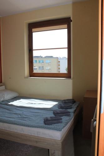 科沃布热格Apartament Konrad w centrum 600 m od morza的一间卧室配有一张带窗户的床