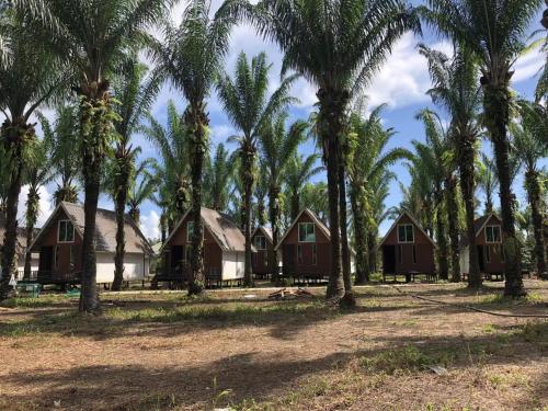 仙本那仙本那中梁度假庄园 ZhongLiang Holiday Garden Semporna的房屋前一排棕榈树