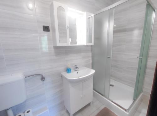 扎马迪Viktória Panzió Zamárdi的白色的浴室设有水槽和淋浴。