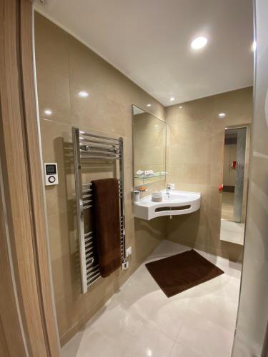 勒卡内Le Cannet Appart'S的一间带水槽和镜子的浴室