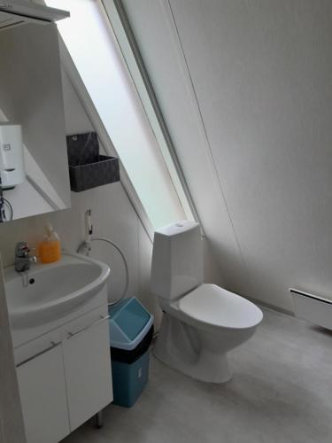 YlitornioKaremajat Special cottage的白色的浴室设有卫生间和水槽。