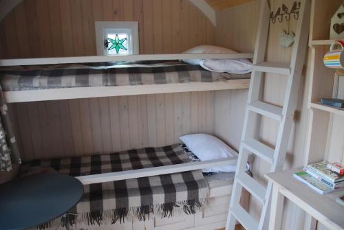 皇家滕布里奇韦尔斯Skylark Shepherds Hut的小屋内带两张双层床的客房