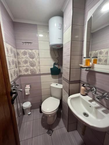 内塞伯尔Daniel Guest House的一间带卫生间和水槽的小浴室