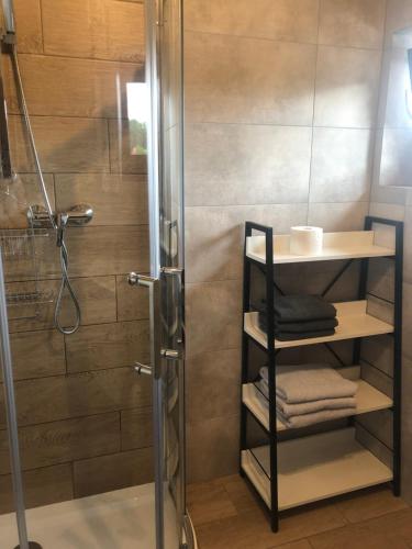 绿山城Apartament Modrzewiowa przy S3的带淋浴和玻璃淋浴间的浴室