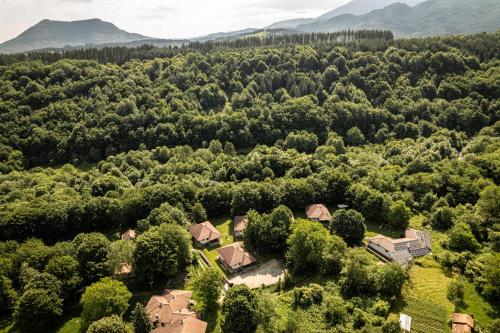 阿普里尔齐Gabarite Holiday Village的森林中间房屋的空中景观