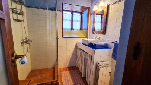 埃尔帕索La Higuerita的带淋浴、盥洗盆和镜子的浴室