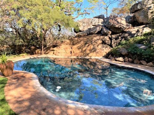 布拉瓦约Family Lodge in Natural African bush - 2113的庭院里的一个蓝色海水游泳池