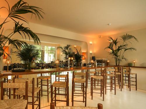 雅典Apollo Palm Hotel的餐厅里的酒吧,有椅子和植物