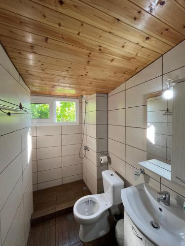 阿特帕克斯Rodovani Cottage的浴室配有白色卫生间和盥洗盆。
