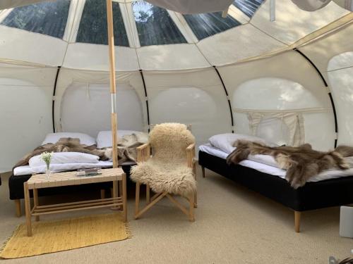 斯科平Rebild Skovhuse的帐篷内带两张床的房间
