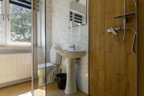 弗瓦迪斯瓦沃沃Rubin-Chłapowo的一间带水槽、卫生间和玻璃门的浴室