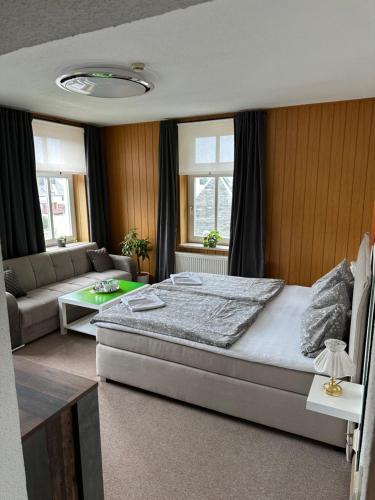 奥尔贝尔恩豪Pension Zur Wartburg的一间卧室配有一张大床和一张沙发