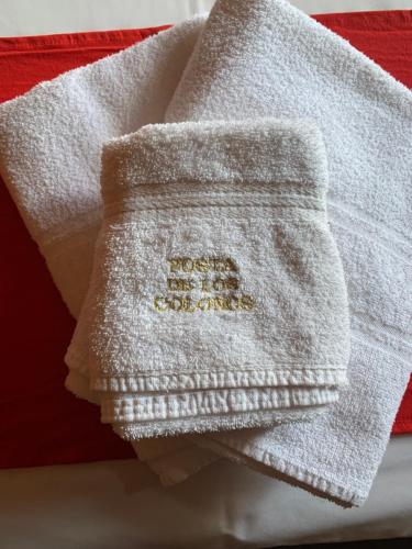 拉安戈斯图拉镇波斯塔克洛诺宾馆的毛巾,放在餐巾纸上