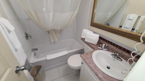 加纳诺克加纳诺克温德姆旅程汽车旅馆的一间带水槽、卫生间和镜子的浴室