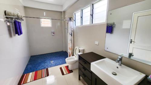SigatokaPacific Paradise Villa的一间带水槽、卫生间和镜子的浴室