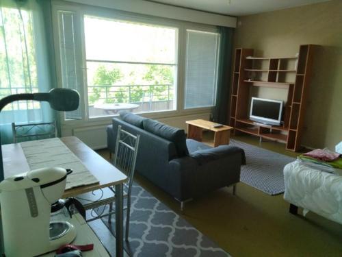 凯乌鲁Kiveläntie的客厅配有沙发和桌子