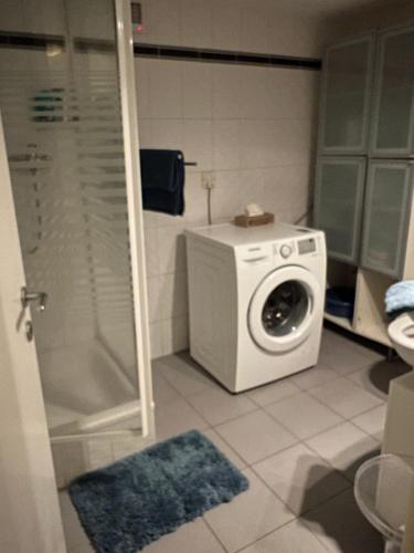 TrélexGrande Chambre à louer à Trélex avec entrée indépendante的一间带洗衣机和淋浴的浴室