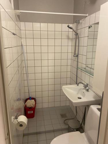 哥本哈根Christianshavn Apartments 536的一间带卫生间和水槽的小浴室