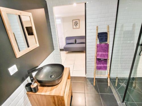 Saint-Aignan-Grand-LieuLe Petit Rocher 30m2- Studio standing tout confort的一间带水槽和镜子的浴室