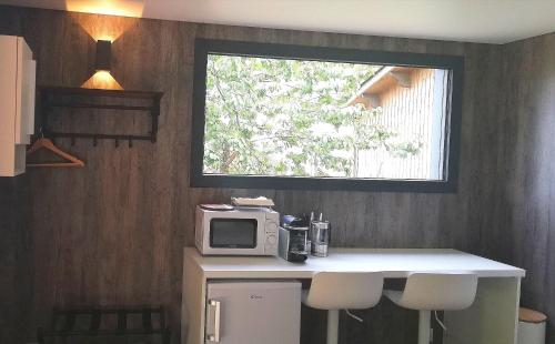 阿宰勒里多Les INSOLITES DE LA TOUCHE的厨房设有微波炉和窗户。