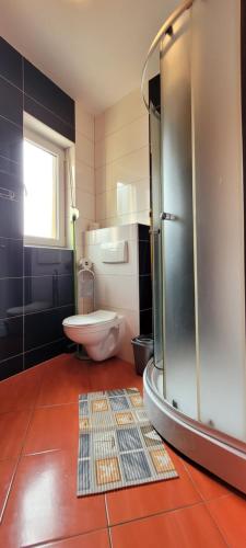 波别罗沃Ulubiona的一间带卫生间和玻璃淋浴间的浴室