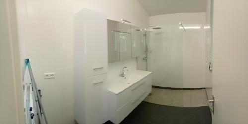乌得勒支Domstad Resort Utrecht Vakantiewoningen的白色的浴室设有水槽和淋浴。