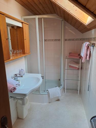 米尔施塔特Ferienhaus Sapplerhof的带淋浴和盥洗盆的浴室