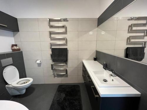 埃格尔Bagoly Apartman的一间带卫生间和水槽的浴室