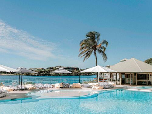双水域Novotel Sunshine Coast Resort的一个带椅子和遮阳伞的游泳池以及棕榈树