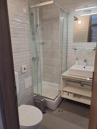 比奥格勒·纳·莫鲁Hotel Albamaris的带淋浴、卫生间和盥洗盆的浴室