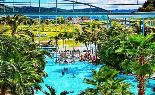 申瓦尔德Urlaub auf 1.000 Meter Höhe mit Pool und Sauna的一座棕榈树环绕的大型游泳池