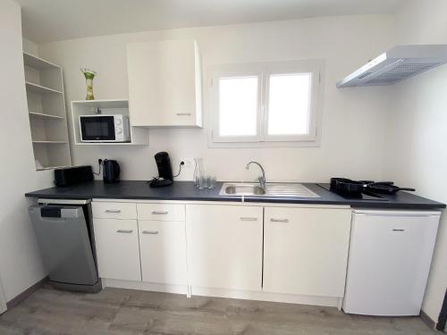 阿尔勒Auberge des Plaines - Appartements avec terrasse的白色的厨房配有水槽和微波炉