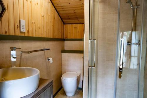 TuxfordWooden tiny house Glamping cabin with hot tub 1的一间带水槽、卫生间和淋浴的浴室