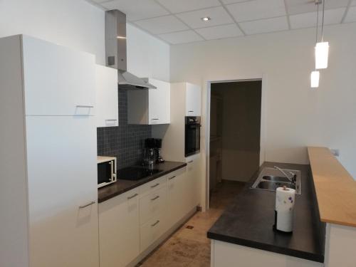 ZottegemNuvola ULTIMO Resort的厨房配有白色橱柜和黑色台面