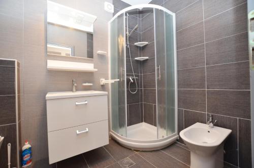 罗维尼Miro Apartment的带淋浴、盥洗盆和卫生间的浴室