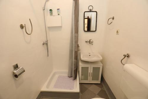 大戈里察Maple place的带淋浴和盥洗盆的小浴室