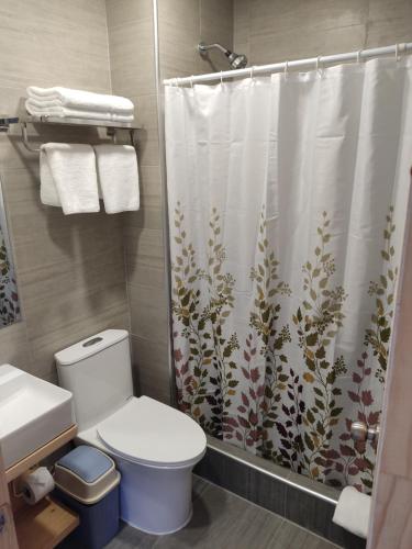 伊基克Vistara Suites的一间带卫生间和淋浴帘的浴室