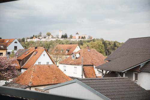布尔格伦根费尔德Apartment mit Burgblick的城镇房屋屋顶的景色