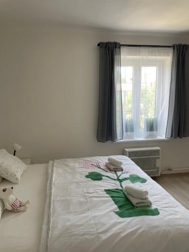 俄斯特拉发Apartmán Fifejdy, Ostrava, centrum的一间卧室设有一张大床和窗户